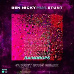 Raindrops (feat. Stunt) [Sunset Bros Remix] Song Lyrics