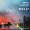 Stream & download Ritual (Tom Pooks & Joy Kitikonti Remix) - Single