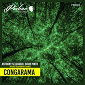 Congarama (Glenn Gonzalez Remix) artwork