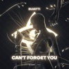 Can't Forget You - Single