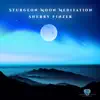 Sturgeon Moon Meditation album lyrics, reviews, download