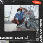 Sabes que sí artwork