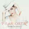 Pilar Ortiz - Ahora