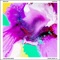 Catfish - Abacaxi lyrics
