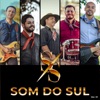 Grupo Som do Sul, Vol. 1