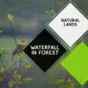 Waterfall in Forest - Natural Lands album lyrics, reviews, download