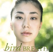 bird - SPARKLES