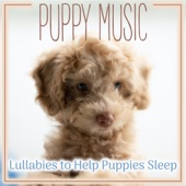 Puppy Music: Lullabies to Help Puppies Sleep artwork