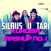 Kurdish Mashup No. 1 artwork