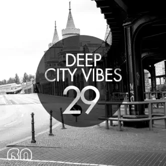 Deep City Vibes, Vol. 29 by Various Artists album reviews, ratings, credits