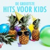 Doe Maar & Gers Pardoel - Bagagedrager
