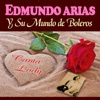 Y Su Mundo de Boleros (Canta Lady)