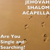 Are You Single and Searching? artwork