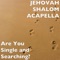 Are You Single and Searching? artwork