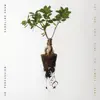 Shaw: Let the Soil Play Its Simple Part album lyrics, reviews, download