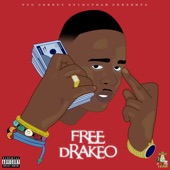 Free Drakeo artwork