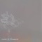 Rain  Flowers - Day Lee lyrics