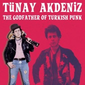 The Godfather of Turkish Punk artwork