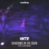 Shadows in the Dark (feat. Elliot Moss) - Single