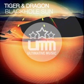 Tiger & Dragon - Blackhole Sun (Original Club Mix)