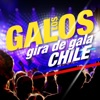 Los Galos (Gira de Gala Chile)
