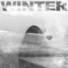 Winter (feat. Emo Fruits) - Single album lyrics, reviews, download
