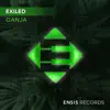 Stream & download Ganja - Single