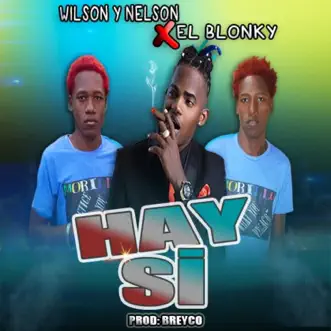 Hay Si - Single by Wilson y Nelson & El Blonky album reviews, ratings, credits