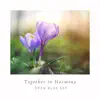 Together in Harmony - Single album lyrics, reviews, download