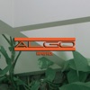 Algo - Single