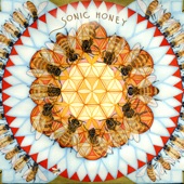 Sonic Honey - Spiral MetroGnome