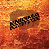 Enigma Experience - The Zone