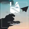 I Missing - Single album lyrics, reviews, download
