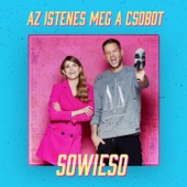 Sowieso (feat. Csobot Adél) artwork
