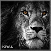 Kral artwork