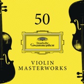 Violin Concerto No. 2 in E, BWV 1042: 1. Allegro artwork