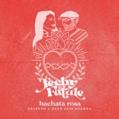 Bachata Rosa (Tributo a Juan Luis Guerra) artwork