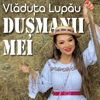 Vladuta Lupau - Dusmanii Mei (Colaj Etno)