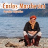 Carlos Marchesini: Payador Argentino