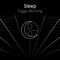 Twenty Two Silver Skies - Endel lyrics
