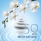 Meditation Oasis - Core Power Yoga Universe lyrics