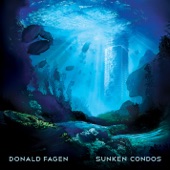 Donald Fagen - Weather in My Head