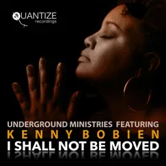 I Shall Not Be Moved (feat. Kenny Bobien) [Duce Martinez and Martin Gee Radio Edit] Song Lyrics