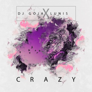 DJ Goja & Lunis - Crazy - 排舞 编舞者