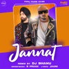 Jannat (Remix) - Single