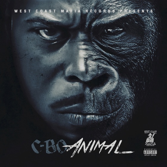 Cover artwork for Bait