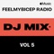 FeelMyBicep Radio, Vol. 5 (DJ Mix)
