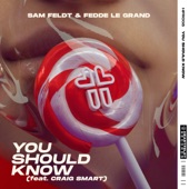 You Should Know (feat. Craig Smart) [Extended Mix] artwork