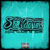Still Down (feat. Ziggy) - Single album lyrics, reviews, download