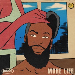 MORE LIFE cover art